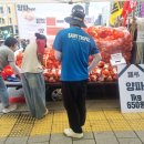 농산물 가격의 비밀? ㅡ 양파 1kg 650원·참외 1kg 800원... 광화문서 ‘초저가 농산물 장터’ 열린 이유 이미지
