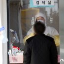 강진-1 이미지