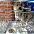 남원서원초등학교 이미지