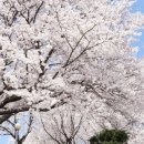 남강로373번길 이미지