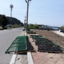 불이채민박