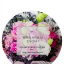 상남동213 이미지