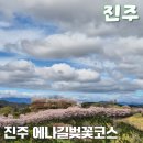 진주에나길 2코스 | 진주벚꽃명소 비봉산 에나길 걷기 대봉정까지 봄 트레킹 코스 추천