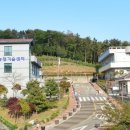 한국전기안전공사부산울산지역본부 이미지