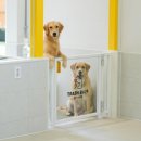 플러스하트 이미지