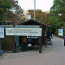 백무동야영장 이미지