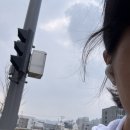 부론면보건지소 네이버블로그