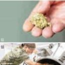 술빚는전가네주막 네이버블로그