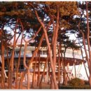황제행정사사무소 네이버블로그