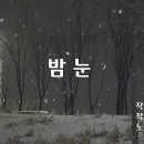 송창식 - 밤눈 이미지