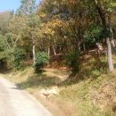 만덕산 등산로 입구 이미지