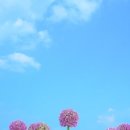 천연비누 이미지