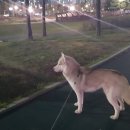 청라 호수공원 족구장 이미지