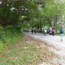 아라메길(1) 이미지