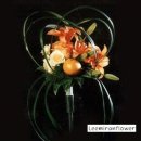 둔산중로-41 이미지