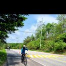 수룡봉황길 이미지