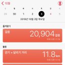 호주워홀 시드니워홀 D+229 울룰루투어 (2)