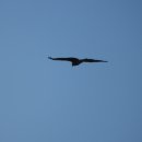 너울공원 이미지