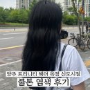 메가엠지씨커피(옥정다올스퀘어점) | 옥정 미용실, 트리니티 헤어 옥정 신도시점 탈색없이 블루블랙 쿨톤 염색 후기