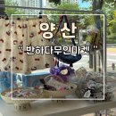 샵반하다