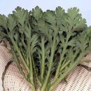 마트에서 &#34;이건 꼭 사세요 수명연장에 최고&#34; 의사도 먹는다 이미지