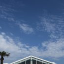 제주가든 | [헤리스가든] 제주 결혼식 헤리스가든 하객 후기