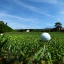 엠클럽 골프 이미지
