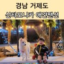 유국수 | 경상남도 거제도 애견동반팬션 산타모니카 숙소 강아지 생일파티