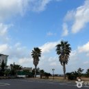 블루하와이 이미지