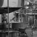 일품양평해장국항남점 이미지