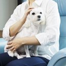 라이코 바이탈 코리아 이미지