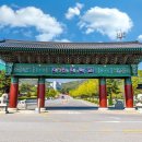 대진대학교 교육대학원 중앙일보