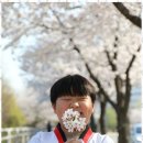 밝은 태권도 도장 이미지
