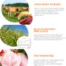 바른이유식 네이버블로그