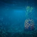 비더스테이 이미지