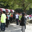 안룡초등학교 이미지