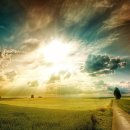 (주)모으리 이미지