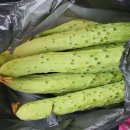 개풍농장 이미지