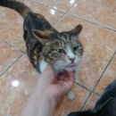 호크종합동물병원 이미지