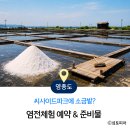 씨사이드파크 족구장 화장실 | 씨사이드파크에 소금밭이? 영종도 염전체험 예약 정리