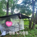 부남면 구천숲 | 청송 구천숲 솔숲 캠핑 | 계곡 옆 감성 노지캠핑