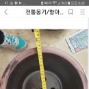 양도유님 콩나물시루 사이즈 확인부탁드려요 이미지