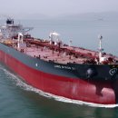 85 매일일보