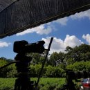 포유농장 이미지