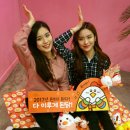 꼬꼬농장 이미지