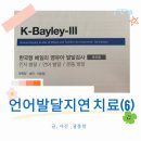 이안마음클리닉 말 느린 아이 언어발달지연 발달 재검사, 치료 종결 후기