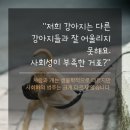 올어바웃펫 이미지