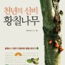 울대마을&황칠오리 네이버블로그