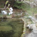 미승농장 이미지