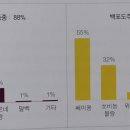 삐노(PINO) 이미지